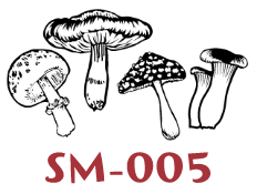 SM-005